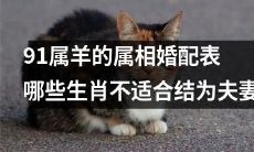 哪些属相在91属羊的属相婚配表中不适合结为夫妻关系
