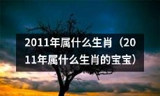 2011年出生的孩子属于哪个生肖？