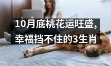 10月底桃花运爆发，三个幸福无法挡住的生肖