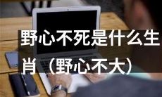 究竟是哪个生肖被称为“野心不死”（或“野心不大”）？