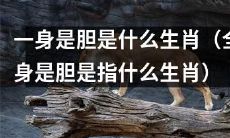 哪些生肖的人被称为“一身是胆”的？（“全身是胆”指代的是哪些生肖？）