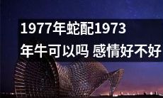 1973年牛和1977年蛇会有美好的感情吗？