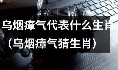 如果迷惑不解乌烟瘴气猜生肖，我们能否给出正确答案？