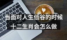 十二生肖如何应对人生低谷：探究他们的情感反应和应对策略