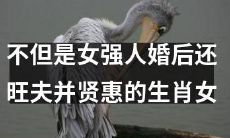 十二生肖中最不仅仅是女强人，还能在婚姻中旺夫并展现贤惠的生肖女