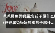 如果爸爸是兔子、妈妈是鸡,孩子应该属于什么生肖呢?