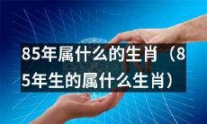 在中国传统文化中，85年出生的人属于哪个生肖呢？