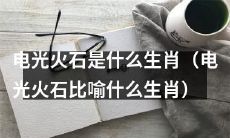 哪个生肖能被比作电光火石？