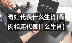 如果以骨肉相连为标准，毒妇象征哪个生肖？
