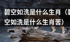 「碧空如洗」作为生肖是什么？（「碧空如洗」是何种生肖？）