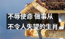 十二生肖中以不负众望、信守承诺的表现最为稳健的生肖