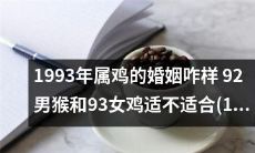 1993年出生的鸡婚姻运势如何?92年男猴和93年女鸡是否适宜结婚?探讨1993年属鸡女性的婚姻命运