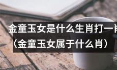 金童玉女是哪个生肖，可以打一肖呢？（金童玉女属于哪个生肖，可以用作开奖号码）