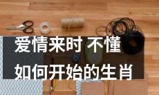 十二生肖中，遇见爱情却无从开始的烦恼