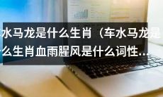 车水马龙是哪个生肖？血雨腥风属于哪种词性？