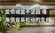 “伴侣关系建筑学”：以生肖为例，探讨爱情城堡的结构设计与维护技巧
