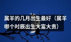 根据风水大师的建议，属羊的哪些月份和时刻出生最有利于招财进宝和大展拳脚？