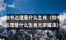 光宗耀泽:探寻知书达理生肖的真相