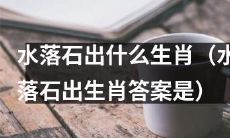 揭秘水落石出生肖，不容错过的生肖排行榜！