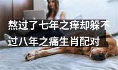 在经历了七年之痒的考验后，却发现无法避免八年之痛——探讨生肖配对的持久关系之路