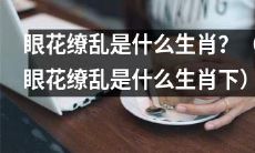 究竟是哪一个生肖的特性让人眼花缭乱？（眼花缭乱特性来自哪个生肖？）