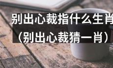 用自己独特的想法猜测哪个生肖（用独特的思维方式猜测相应的生肖）