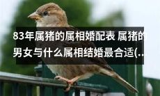 83年属猪男女婚配大揭秘：探究属猪男女与哪些属相配对最为理想，从属猪女的视角探讨最佳婚配属相