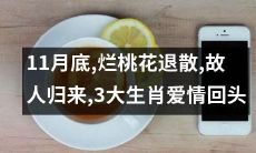 11月底即将到来,烂桃花将离散,好友与心爱之人将归来,而三大生肖则转运迎来爱情回头