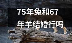 能否长久维持的婚姻关系？探讨“75年兔”与“67年羊”之间的婚姻羁绊