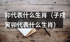 子戌寅卯四大生肖之一：卯所代表的生肖是什么？