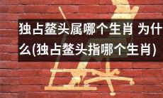 究竟属于哪个生肖会独占鳌头?探究独占鳌头的生肖属性与原因!