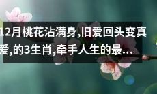 这个标题已经非常长了，很难再进一步改写