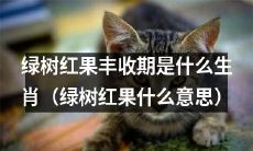 哪个生肖能享受绿树红果丰收期(探究绿树红果的含义及其对应生肖)?