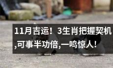 11月幸运!3个生肖抓住机会,轻松事半功倍,惊人表现!