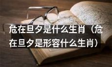 哪个生肖的命运危在旦夕？