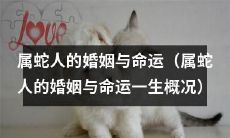 属蛇人的婚姻与命运:一生的经历与概况