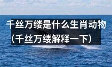 哪种生肖动物被形容为千丝万缕，究竟是什么?（解释"千丝万缕"）