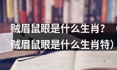 揭秘贼眉鼠眼的生肖身份：究竟属于哪个生肖？