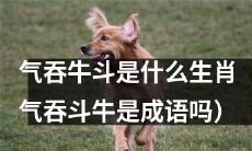 探究生肖“气吞牛斗”的真实身份：是否与成语“气吞斗牛”相关？