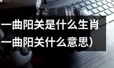 《一曲阳关》中所描绘的角色属于哪个生肖类型(“一曲阳关”所代表的生肖身份)?