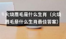 哪个生肖最容易遭遇火烧眉毛的困境，如何化解危机？（火烧眉毛生肖及危机解决方法）