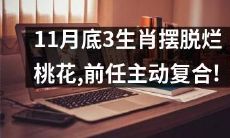 11月底三生肖走出烂桃花困境,前任主动寻求复合的迹象出现!