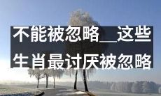 这些生肖不容忽视,因为它们最讨厌被忽略!