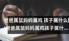 在属相相生相剋的彰显中,父母属鼠属鸡的情况下,孩子应该属于哪个属相才最理想?