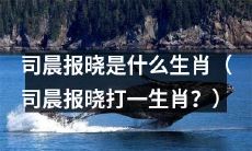 请问司晨报晓对应的是哪个生肖呢？（即：司晨报晓代表的是哪个属相？）