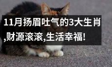 11月财源滚滚、生活幸福的三大生肖,他们将扬眉吐气!