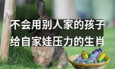 哪些生肖家长不会因别人的孩子而给自家娃带来压力？