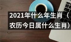 今天(农历)是2021年,你知道今天属于哪个生肖吗?