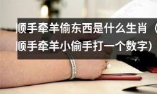 根据顺手牵羊小偷的数字，你知道了什么生肖会偷东西？