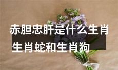 生肖蛇和生肖狗：探究“赤胆忠肝”这个与生肖相关的谚语的由来及意义